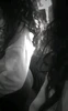 Profile picture of Daniela