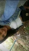 Profile picture of Denisa