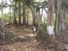 Profile picture of Bk birju