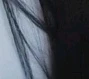 Foto de perfil de Ashleicita