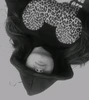 Profile picture of דבי