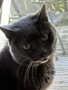Profilbild von Ryan
