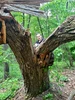 Фота профілю Shadow