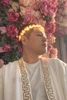 Hulagway sa profile ni Vincent