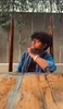 Profile picture of Rohith Vishnu