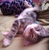 Profile picture of Asha