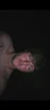 Profile picture of Aiden