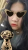 Profile picture of Panni Meganne Nguyễn