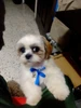 Foto de perfil de Joseph