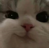 Foto de perfil de Cris