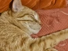 Profile picture of Aleexx