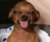 Foto de perfil de ANGEL
