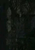Profile picture of Ribooo