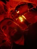 Profile picture of Chris