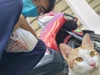 Hulagway sa profile ni Kiên