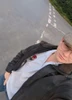 Profile picture of Dan Wilson