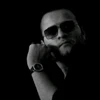 Stampa tal-profil ta' Sardar