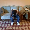 Chithunzi cha Lorenzo pa mbiri yake