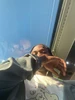 Michael хэрэглэгчийн профайл зураг
