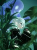 Profile picture of Kayu