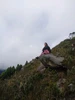 Foto de perfil de Angie