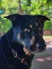 Profile picture of Lee
