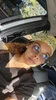 Profile picture of Yasmine