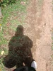 Foto profil Tria