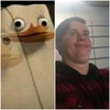 Profile picture of Alex