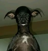 Profile picture of Vinicius