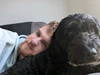 Profilbild von Andrew Blackwell
