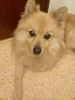 Profile picture of D