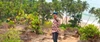 Profile picture of Manoj Prashanth
