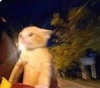 Profile picture of Timothy