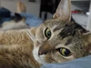 Фото профиля Lucy