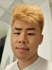 Hulagway sa profile ni Dylan