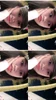 Profile picture of Niaa