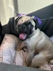 Profile picture of Yesica