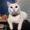 Jackie profil fotoğrafı