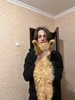 Фото профиля Максим