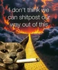 Profile picture of distantwhitebat