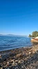 Φωτογραφία προφίλ του/της Despoina