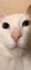 Profile picture of Sahil