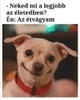 Foto de perfil de Robi