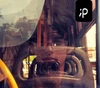 Foto de perfil de Joan