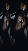 Profile picture of Ramon