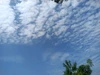 Profile picture of Lour