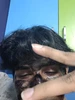 Profile picture of Suyash