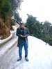 Profile picture of T