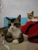 Foto profil GLV